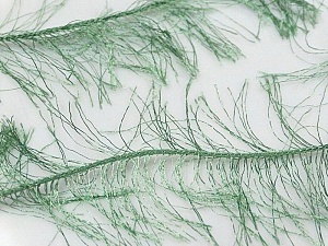 Long Eyelash Green