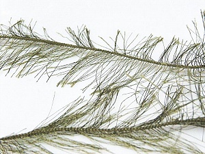 Long Eyelash Khaki