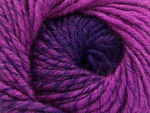 Fantasia Fuchsia, Purple