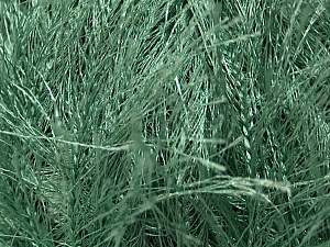 Long Eyelash Green