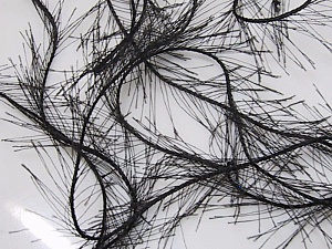 Eyelash Black