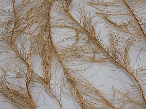 Long Eyelash Brown