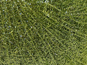 Sale Metallic Green