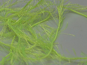 Eyelash 100gr Phosphoric, Green
