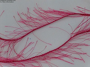 Long Eyelash Pink
