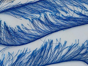 Long Eyelash Blue