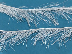 Long Eyelash White