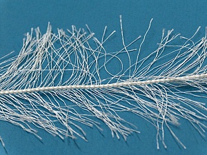 Long Eyelash Cream