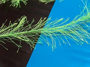Long Eyelash Phosphoric, Green