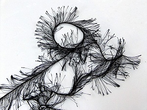Long Eyelash Black