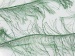 Long Eyelash Green A