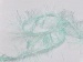 Long Eyelash Mint, Green A