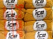 Baby Cotton Gold C