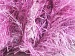 Long Eyelash Purple, White A