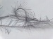Eyelash 100gr Silver, Grey A