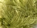Eyelash 100gr Yeşil A