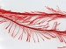 Eyelash 100gr Kırmızı A