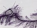Long Eyelash Purple A