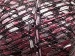Ladder Pink, White A