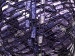 Ladder Purple, Lilac, White A