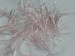 Eyelash 100gr Light Pink A