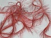 Eyelash 100gr Salmon A
