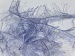 Long Eyelash Lilac A