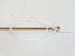 Baby Lollipop White, Yellow, Mint Green, Blue B