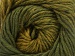 Fantasia Green Shades A