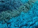 Lambkin Color Beyaz Turkuaz Çamurcun Gri A