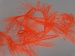 Long Eyelash Phosphoric, Orange A