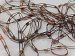 Ladder Brown Shades B