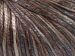 Rockabilly Color Brown Shades, Light Grey A