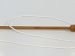 Baby Bamboo Optical White B