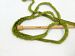 Panda Military Green B