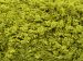 Puffy Popcorn Pistachio Green A