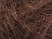 Long Eyelash Kahverengi A