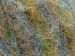 Kid Mohair Alpaca Color Turkuaz Turuncu Gri Yeşil A