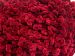 Chenille Boucleron Bordo A