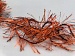 Eyelash 100gr Orange, Black A