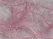 Long Eyelash Light Pink A