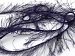 Long Eyelash Purple A