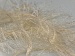 Long Eyelash Krem A