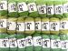 Mixed Lot Plain Yarns A