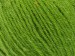 Alpaca Paillette Pistachio Green A