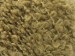 Alpaca Boucle Deve Tüyü A