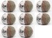 Tommy Wool Glitz