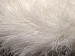 Eyelash 100gr White A