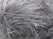 Eyelash 100gr Silver A