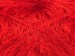 Eyelash 100gr Bright Red